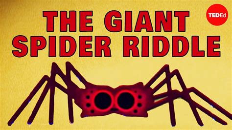 Can You Solve The Giant Spider Riddle Dan Finkel Youtube Riddles