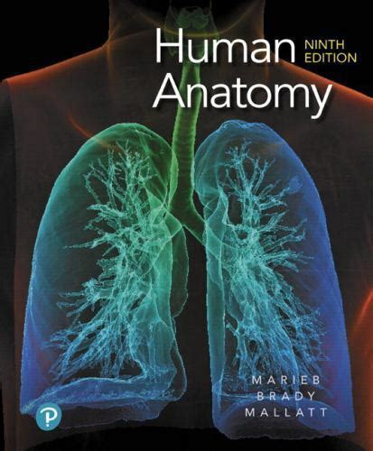 Human Anatomy 9th Edition 9780135168059 Ebay