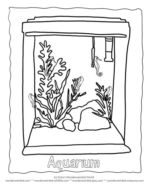 Goldfish coloring page 3 by tempest studios printable adult | etsy. Coloring Pages Of Fishes In Tank Whith A Cat - Coloring Home