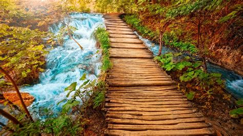 Wood Path Between Waterfall Stream Surrounded By Leaves Hd Nature