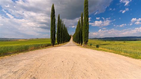763882 Scenery Fields Roads Trees Clouds Rare Gallery Hd Wallpapers