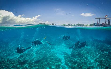 Scuba Diving Gili Islands Fun Dive 3w Dive Gili