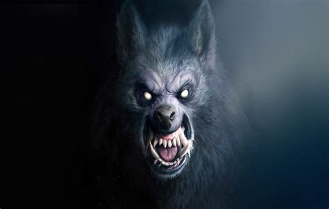 Werewolf Horror Wallpapers Top Free Werewolf Horror Backgrounds