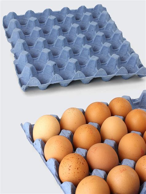 Large Cardboard Egg Trays 30 Eggs