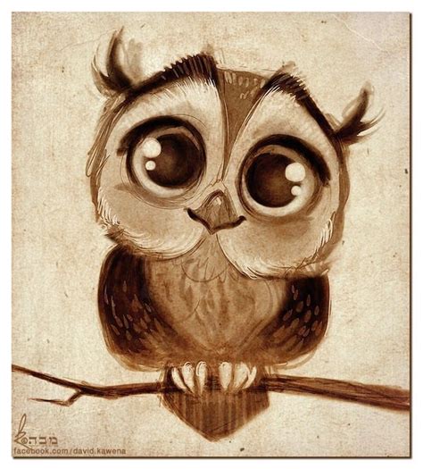 Owl Anime Anime Amino Cute Owl Drawing Owls Drawing Owl Painting