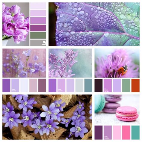 Сиреневый цвет: описание, схожесть и разница с фиолетовым тоном ...