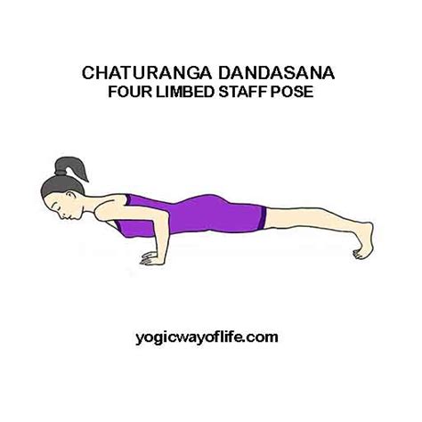 Chaturanga Dandasana The Four Limbed Staff Pose