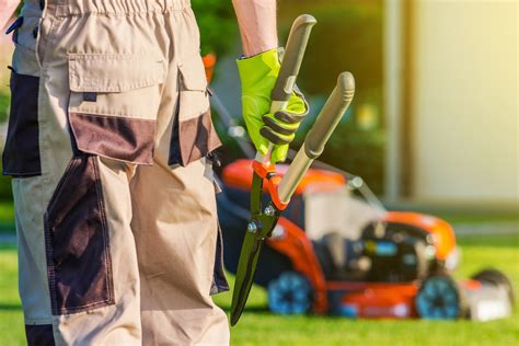 7 Reasons To Hire A Professional Landscaper Evergreeen Garden Co