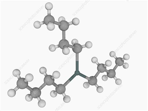 Tributyltin Hydride Molecule Stock Image F0046698 Science Photo
