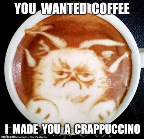Catch It You Wanted Coffee I Made You A Crappuccino Image Tagged In