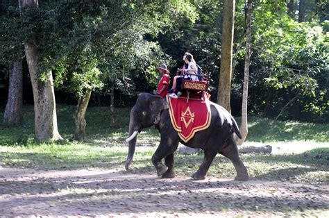Kambodža: Konec turističnega jahanja slonov končno tudi za Angkor Wat