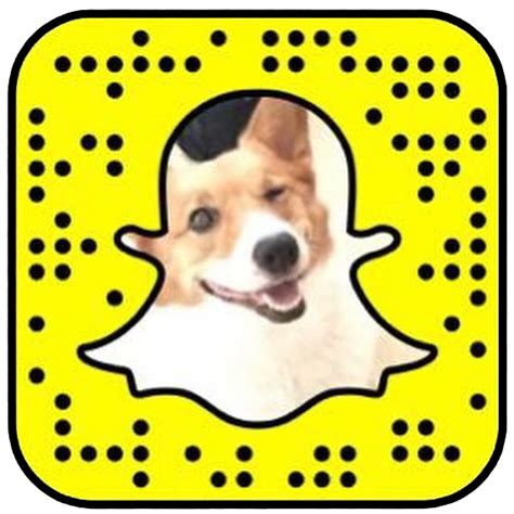 Snapchat Usernames and Snapchat Codes - The 11th Second: #1 Source for Snapchat Usernames & Hacks