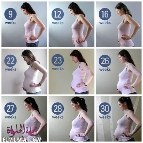 شكل بطن الحامل بولد في الشهر الخامس بالصور يختلف عن شهور الحمل السابقة والتالية، وخاصة أنها من