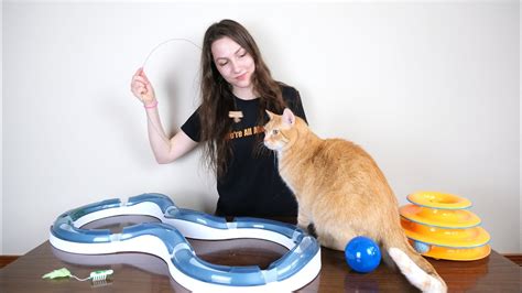 Top 5 Best Cat Toys We Tested Them All Youtube