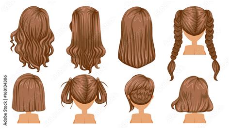 brown hair beautiful hairstyle brown hair of woman rear view modern fashion for assortment