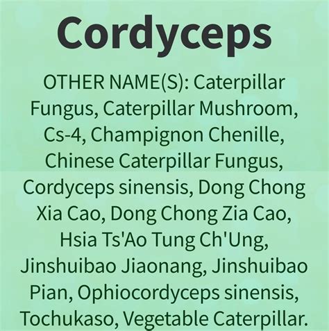 Cordyceps Overview Uses Side Effects Precautions Interactions