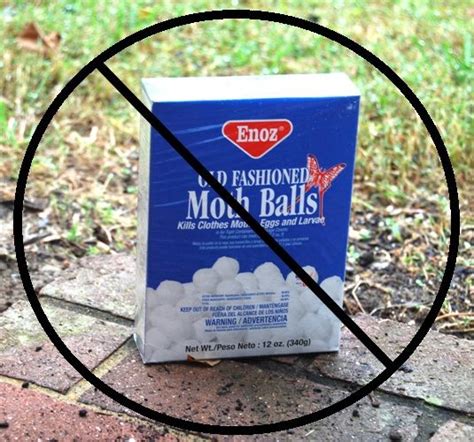 However, it's actually illegal to use mothballs for a use not intended on the package. USING MOTHBALLS IN THE GARDEN TO DETER PESTS, FACT OR ...