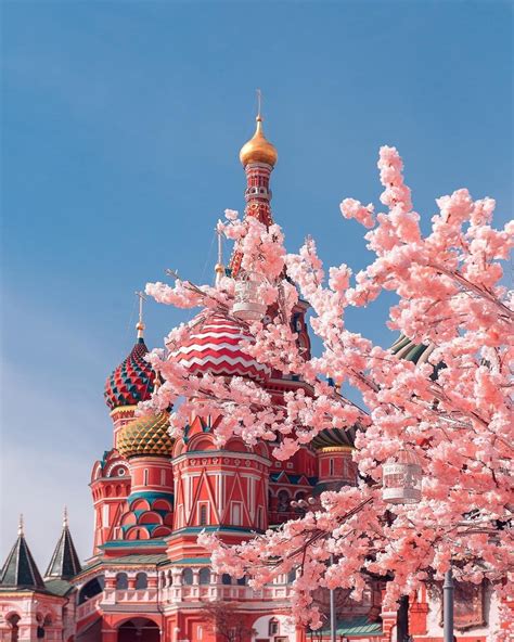 ruscatontheroof: Spring in Moscow Весна в Москве - Tumblr Pics