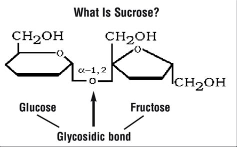 The Sucrose Molecule Consists Of The Sugars Glucose And Fructose Linked