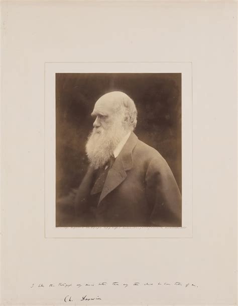 Charles Darwin Lot 8