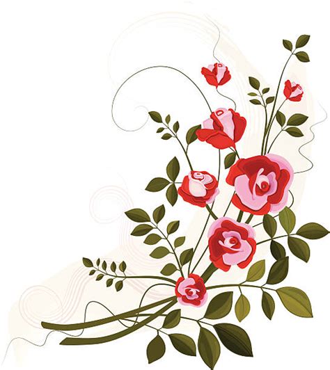 Rose Vines Illustrations Royalty Free Vector Graphics