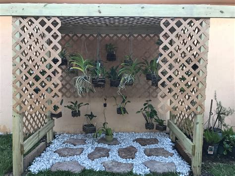 Our Beautiful Orchid House Project Is Finally Done Orchid House Diy
