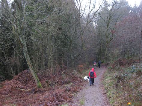 Eine Blogger Wanderung Auf Dem Kall Trail Und Zum Westwall Hiking Blog
