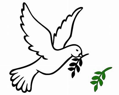 Dove Peace Bird Clip Clipart Template