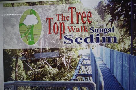 The tree top walk through the suspension bridge is a very beautiful experience. LATA SEDIM DE TERUNA FOREST RESORT: TREE TOP WALK & SUNGAI ...