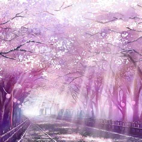 10 Most Popular Cherry Blossom Wallpaper Anime Full Hd 1920×1080 For Pc