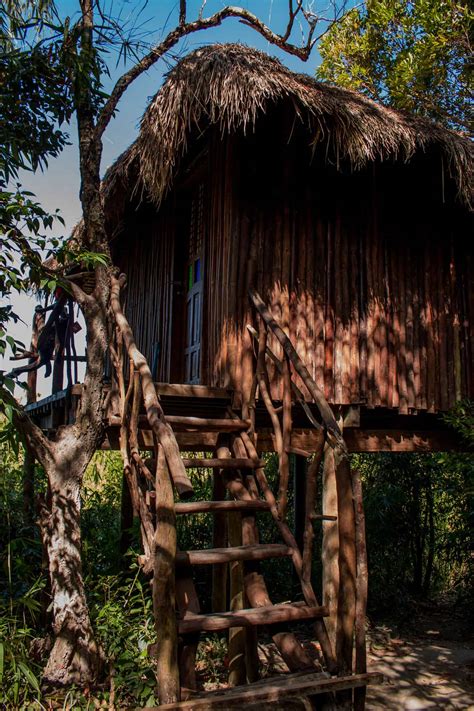 Sanctuaria Treehouses A Unique Eco Stay In Busuanga Philippines