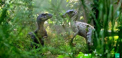 See Jurassic Park Reimagined As Sweet Nature Documentary Jurassic Park Velociraptor