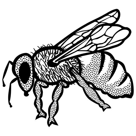 Bee Outline Png Free Logo Image