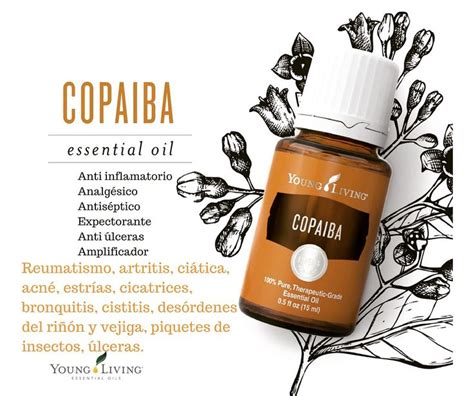 Until i tried young living copaiba essential oil. Pin on Aceites esenciales Young Living