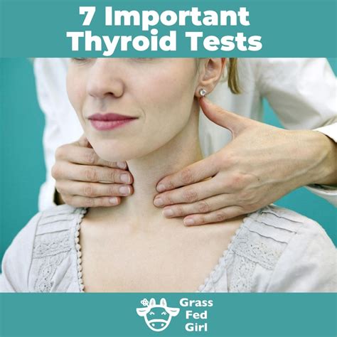 Which Thyroid Tests To Ask For At The Doctor Identifying True Cause