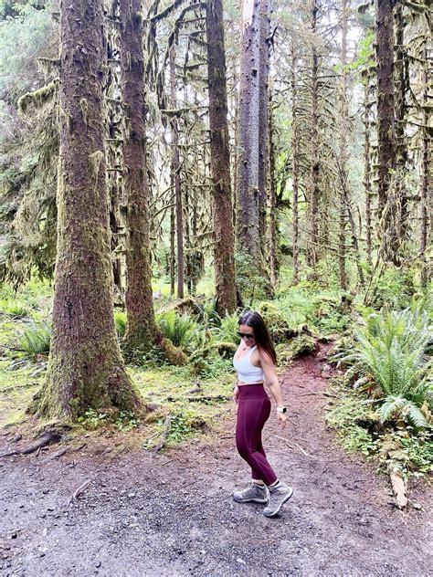 The Perfect Olympic National Park Itinerary 2 Day Guide With Tons Of Tips