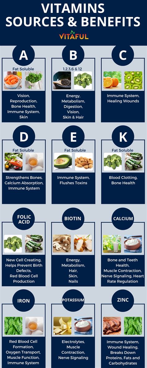 Vitamins Food Sources And Benefits Includes Vitamins A B C D E