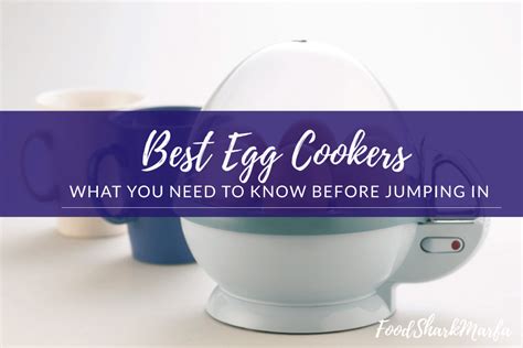 The 15 Best Egg Cookers To Enjoy Boiled Eggs Or Omelette In Breakfast