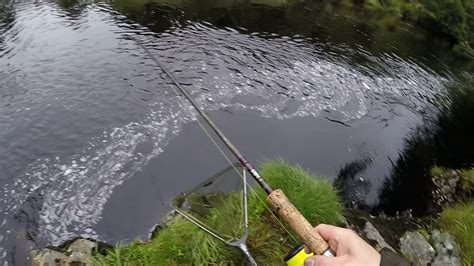 Sea Trout Fishing On The River Nairn Youtube