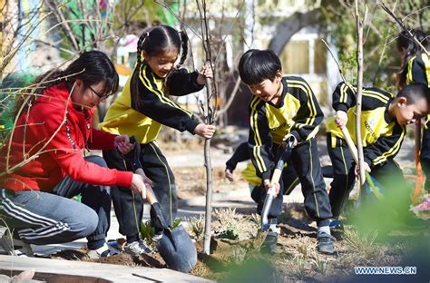 Afforestation Projects Succeed In Greening Up China Cn