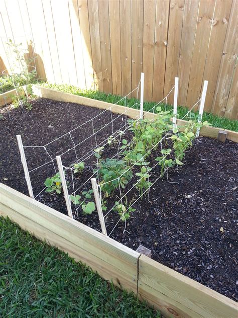 Home Made Trellis For Green Beans And Cucumbers Vegetable Garden