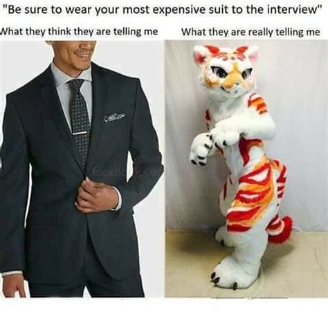 Furry Memes Viral Memes