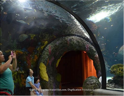 Fish Tunnel At Virginia Aquarium Zoos Travel List Virginia Beach