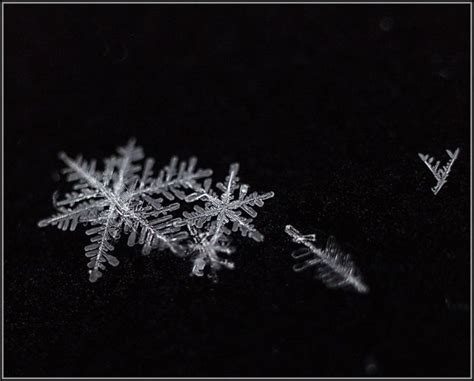 Beautiful Snowflakes 49 Pics