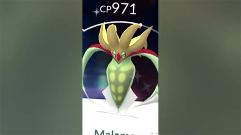 Evolution Of Shiny Inkay Into Malamar Pokémon Go Shorts Anythingmakers Ytshorts Youtube