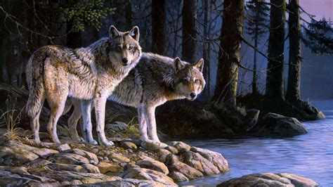 Wolves At River Digital Art Hd Wallpaper Hd Latest Wallpapers