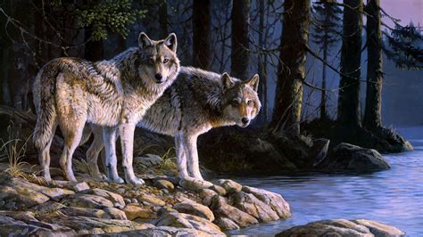 No more than four posts in a 24 hour period. Wolves at river digital Art HD wallpaper | HD Latest ...