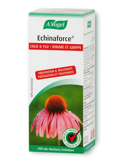 Echinaforce Echinacea Purpurea Tincture - proven extract for cold & flu and Immune System Support
