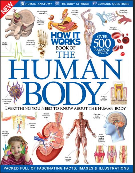 How It Works Book Of The Human Body 2016 Pdf Medbooksvn