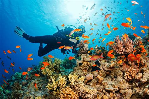 Best Places To Scuba Dive In Thailand Tips Faq Guide